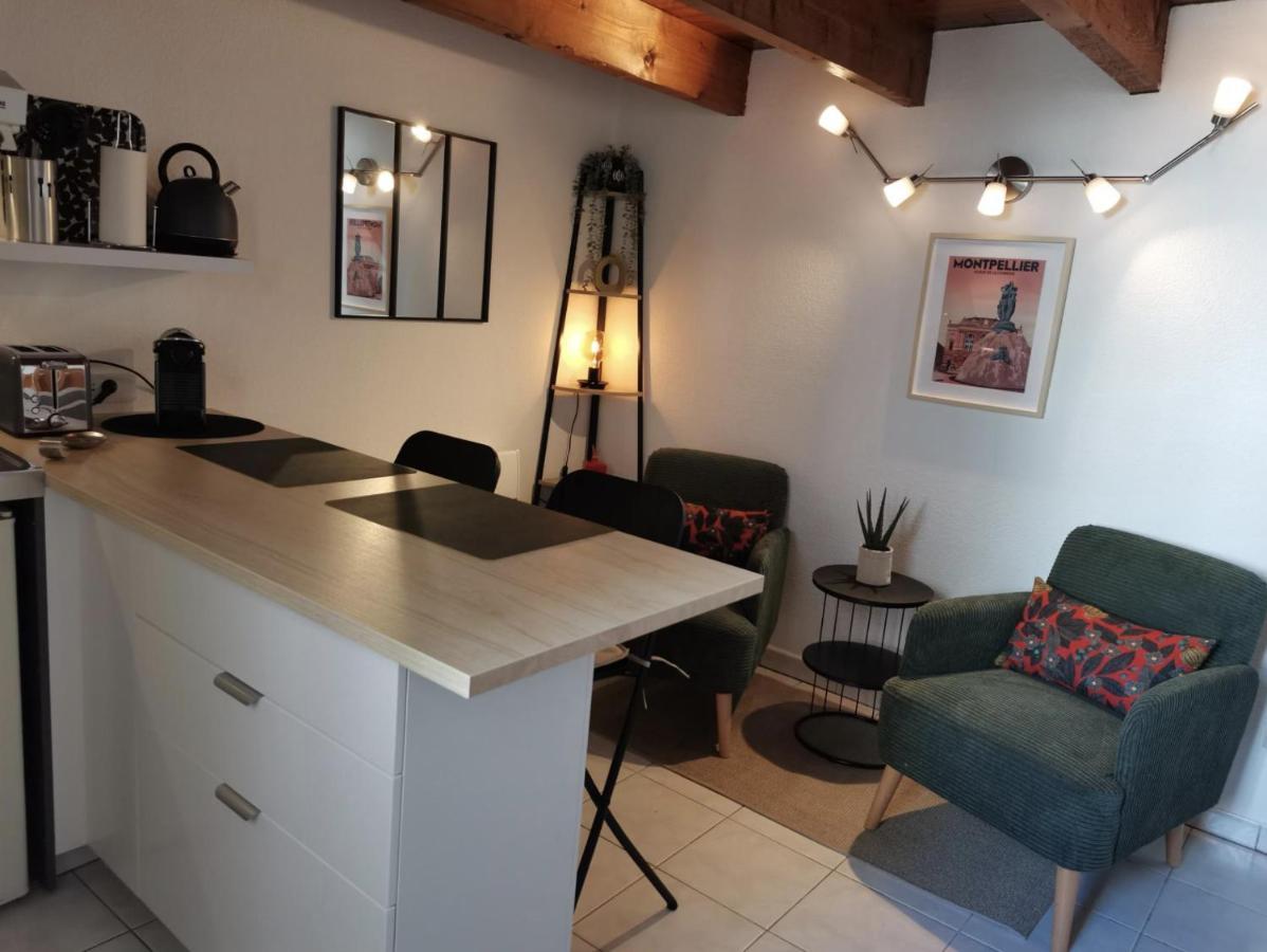 Le Studio De La Comedie, Montpellier, Hyper-Centre Διαμέρισμα Εξωτερικό φωτογραφία